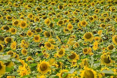 Steam达成新同时在线用户记录 超过2700万